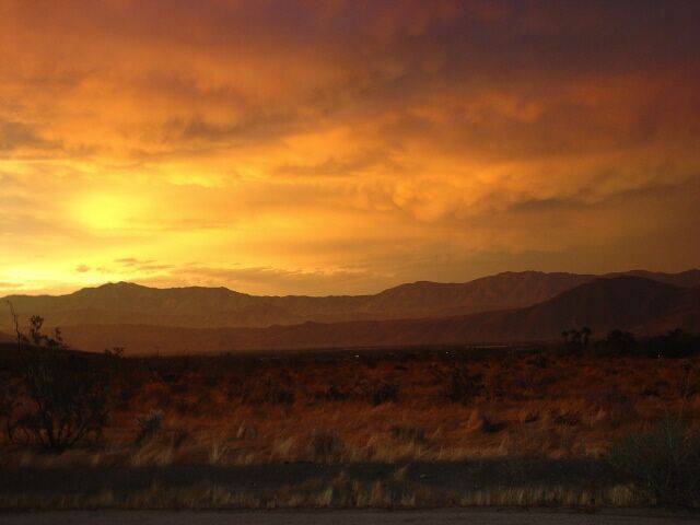 Swap Joshua Tree NP for Anza-Borrego Desert State Park (California)